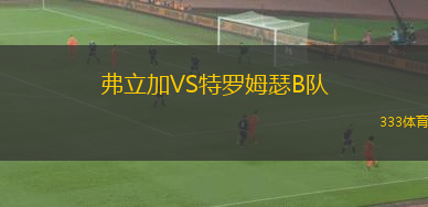 科克城VS斯萊戈流浪者