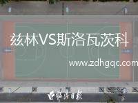 茲林VS斯洛瓦茨科
