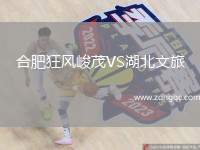 合肥狂風峻茂VS湖北文旅