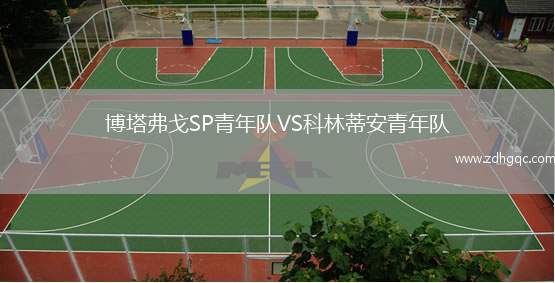 博塔弗戈SP青年隊(duì)VS科林蒂安青年隊(duì)