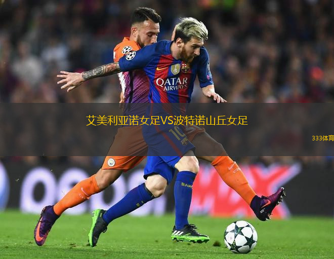 中非VS尼日爾