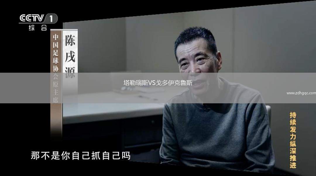 塔勒瑞斯VS戈多伊克魯斯