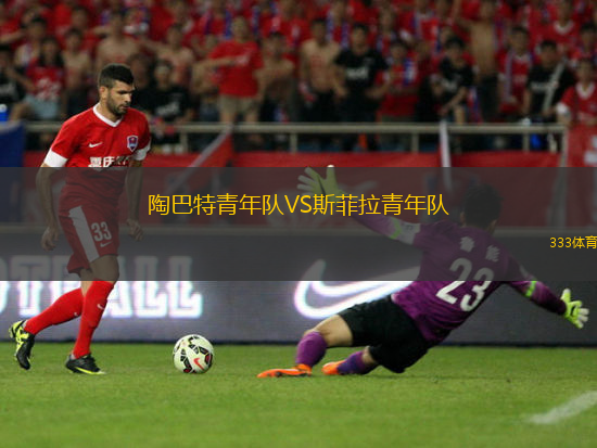 索科爾霍斯托什VS米特