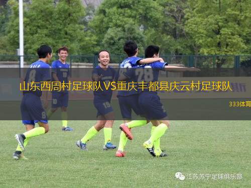 薩勒尼塔納VS比沙奴