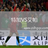 特加VS艾帕