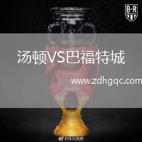 湯頓VS巴福特城