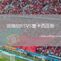 派瑞加RSVS塞卡西亞斯