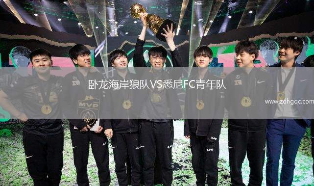 臥龍海岸狼隊(duì)VS悉尼FC青年隊(duì)