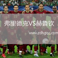 弗里德克VS赫魯欽