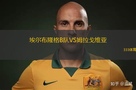 貝柏城VS斯坦福