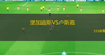 霍吉尼贊卡VS別爾斯科