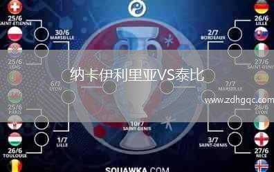 納卡伊利里亞VS泰比