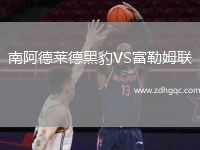 南阿德萊德黑豹VS富勒姆聯(lián)