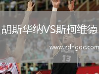 胡斯華納VS斯柯維德