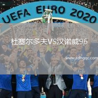 杜塞爾多夫VS漢諾威96