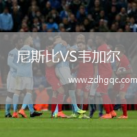 尼斯比VS韋加爾
