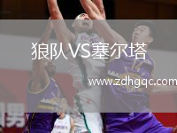 狼隊(duì)VS塞爾塔