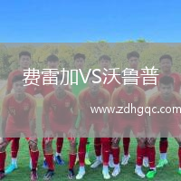 費雷加VS沃魯普