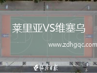 萊里亞VS維塞烏