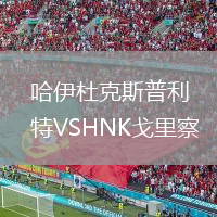 哈伊杜克斯普利特VSHNK戈里察