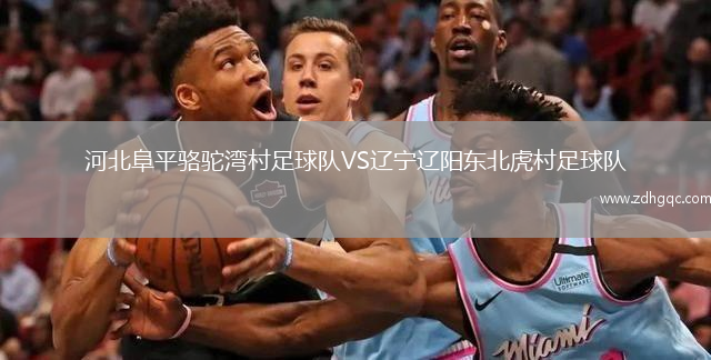 河北阜平駱駝灣村足球隊VS遼寧遼陽東北虎村足球隊