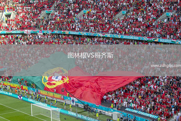 圖林根VS哥齊斯