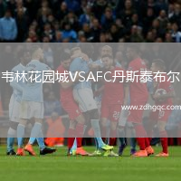 韋林花園城VSAFC丹斯泰布爾