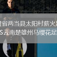 甘肅省兩當縣太陽村薪火足球隊VS云南楚雄州馬纓花足球隊