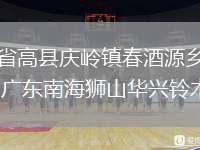 四川省高縣慶嶺鎮(zhèn)春酒源鄉(xiāng)代表隊VS廣東南海獅山華興鈴木隊