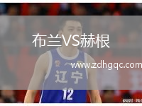 布蘭VS赫根