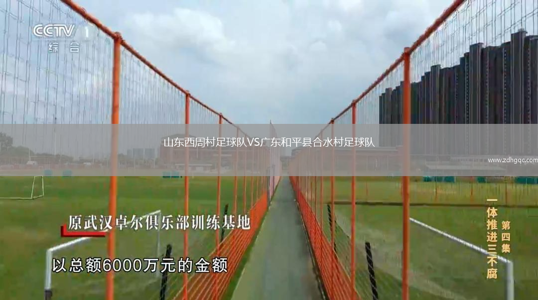 山東西周村足球隊(duì)VS廣東和平縣合水村足球隊(duì)