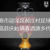 山西太原市迎澤區(qū)郝莊村足球隊(duì)VS四川省高縣慶嶺鎮(zhèn)春酒源鄉(xiāng)代表隊(duì)
