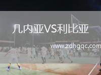 幾內(nèi)亞VS利比亞