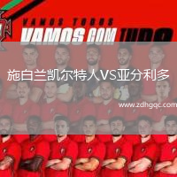 施白蘭凱爾特人VS亞分利多