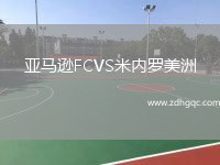 亞馬遜FCVS米內(nèi)羅美洲