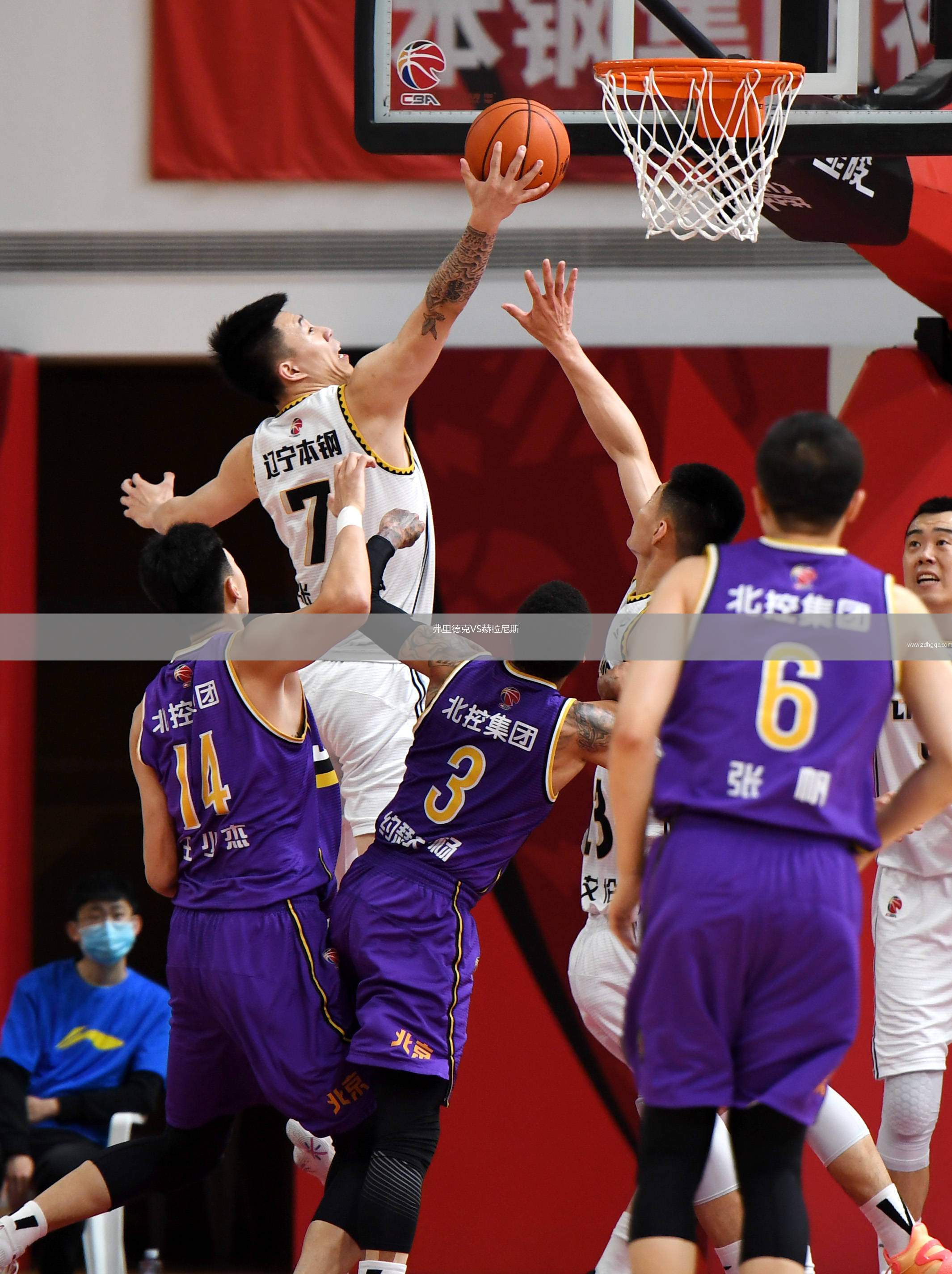 弗里德克VS赫拉尼斯