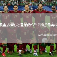 布里安斯克迪納摩VS澤尼特奔薩