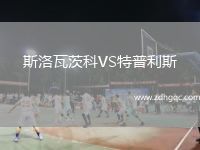 斯洛瓦茨科VS特普利斯