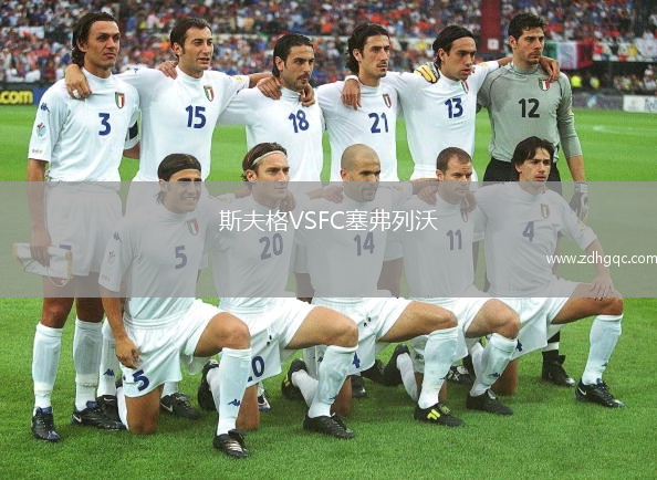 斯夫格VSFC塞弗列沃