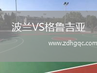 波蘭VS格魯吉亞