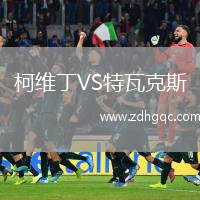 柯維丁VS特瓦克斯