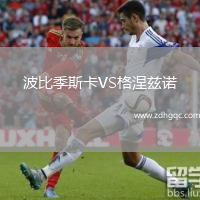 波比季斯卡VS格涅茲諾