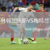林頓加法斯VS梅特蘭