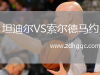 坦迪爾VS索爾德馬約