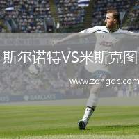 斯?fàn)栔Z特VS米斯克圖