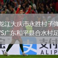 黑龍江大慶市永勝村子彈隊(duì)VS廣東和平縣合水村足球隊(duì)