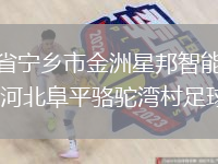 湖南省寧鄉(xiāng)市金洲星邦智能足球隊(duì)VS河北阜平駱駝灣村足球隊(duì)