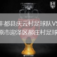 重慶豐都縣慶云村足球隊(duì)VS山西太原市迎澤區(qū)郝莊村足球隊(duì)