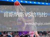 哥斯納斯VS哈馬比
