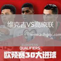 維克吉VS高原聯(lián)